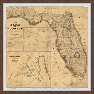 " The State Of Florida " by Marmont Hill