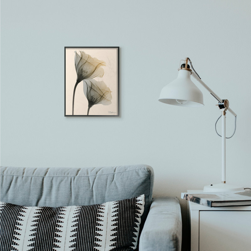 «Neutral Light Flower» par Albert Koetsier - reproduction de photo, H 14 po x l 11 po x P 1,5 po, Giclée encadrée noir minuit