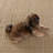 Veranda Rug-22693592