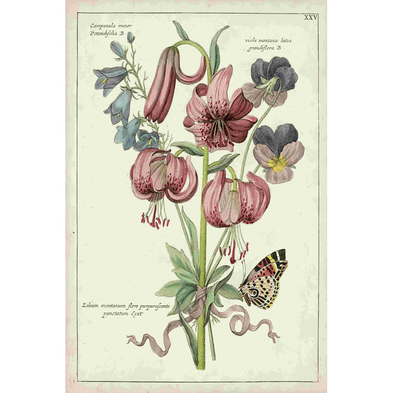 Bouquet botanique III, H 30 po x l 20 po