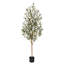 Olive artificielle Adcock avec tronc de bois véritable, plante d'olivier artificielle résistante aux rayons UV-2136049901