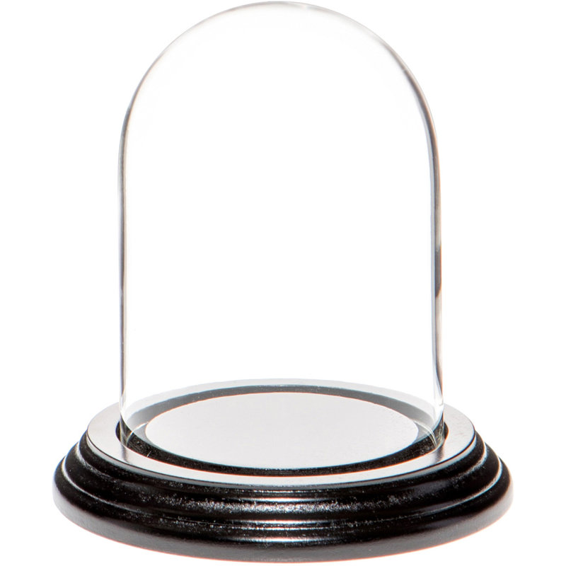 Cloche en verre 3 "x 4" Vucciria, Base en placage de bois noir