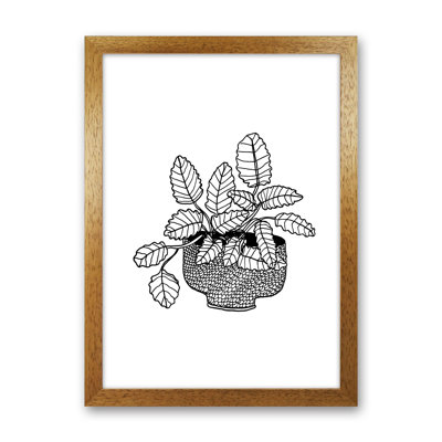Peppermint by Carissa Tanton - Print