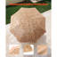 Beach Parasol-152109474