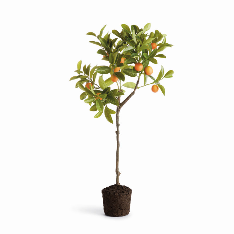 FAUTEUIL D'ARBRE EN FAUX KUMQUAT 33 po