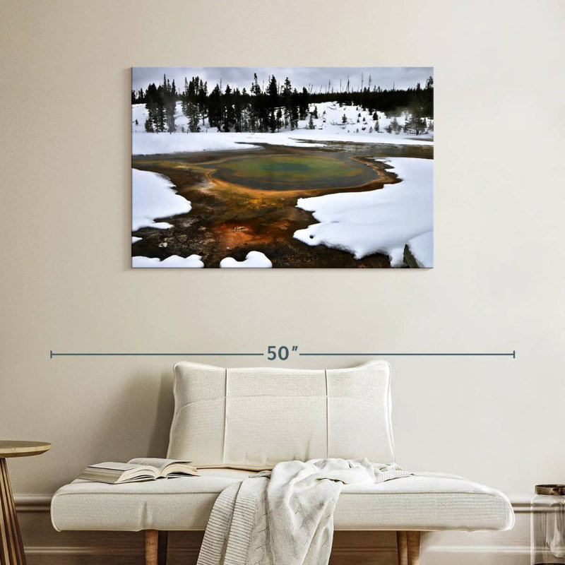 Alvord Yellowstone Winter Geyser