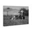 «Resting Cow in Grass» par Dakota Diener-1715372114