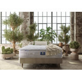 A.H. Beard 13'' Medium Cooling Gel Foam Mattress and Box Spring