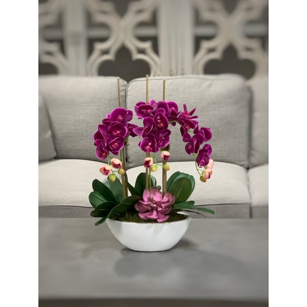 Orchid Floral Arrangement in Planter Primrue Flowers/Leaves Color: Purple