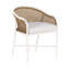 Havana Arm Chair-83259844-130056212-130056265