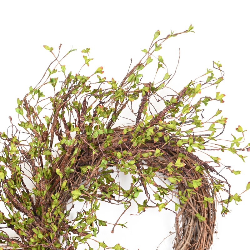 26" Spring Grapevine Wreath for Front Door, Brown/Green