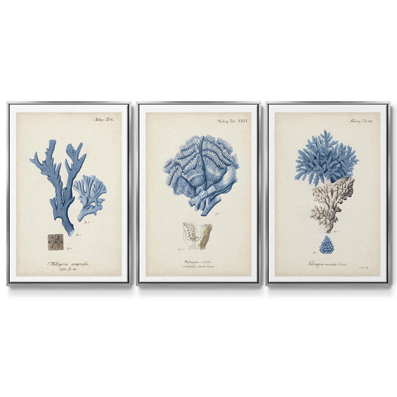 Corail antique en bleu marine, ensemble de 3 pièces encadrées sur toile, Argent, H 27 po x l 54 po