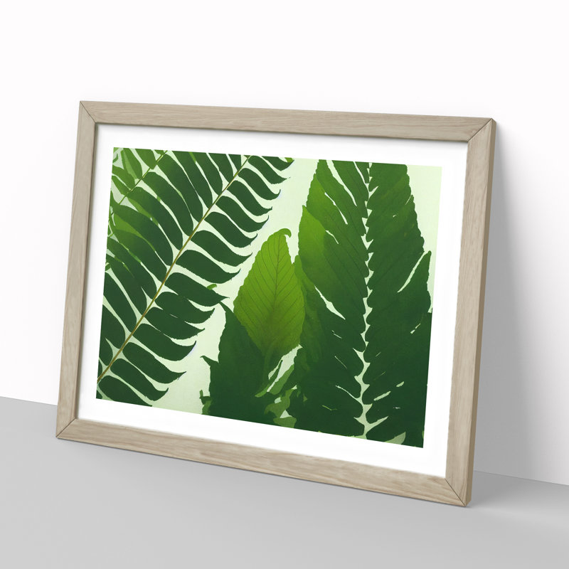 Contoured Fern Leaf - Framed Print, 25cm H x 34cm W x 2cm D, Oak