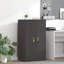 Storage Cabinet-1645948808
