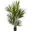 Faux palmier Kentia-886321231