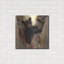«Curious Cub I» par Collin Bogle-1401735098