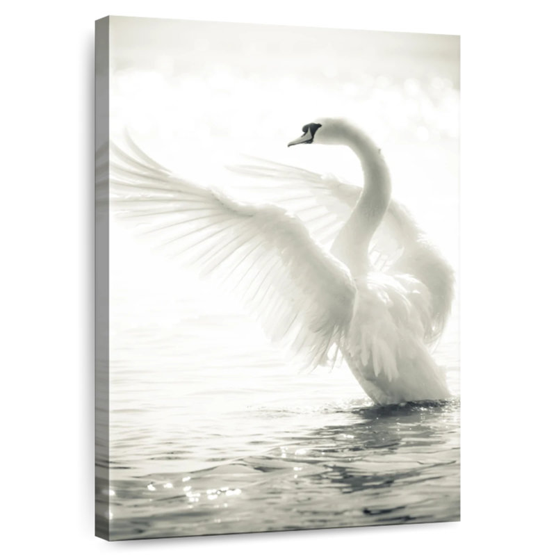 Gracieux cygne blanc, H 24 po x l 16 po