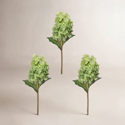 Cone Hydrangea Stems