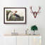 Heron by John Audubon - Picture Frame Painting Print-55601762-55601763