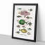 Various Fishes XXXIII by Oliver Goldsmith - Picture Frame Painting Print-55605264-55605267