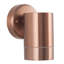 Alysia Outdoor Armed Sconce