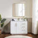 Cloverfield 42'' Single Bathroom Vanity
