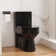 Compact Toilets, Glossy Black One-Piece Toilet With High-Efficiency Flush Round Toilet For Space-Saving