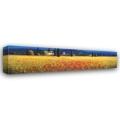 Panorama toscan - Coquelicots