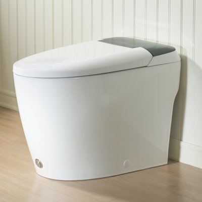 One-Piece Toilet, Non-electric Toilet