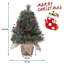 Lighted Artificial Pine Christmas Tree