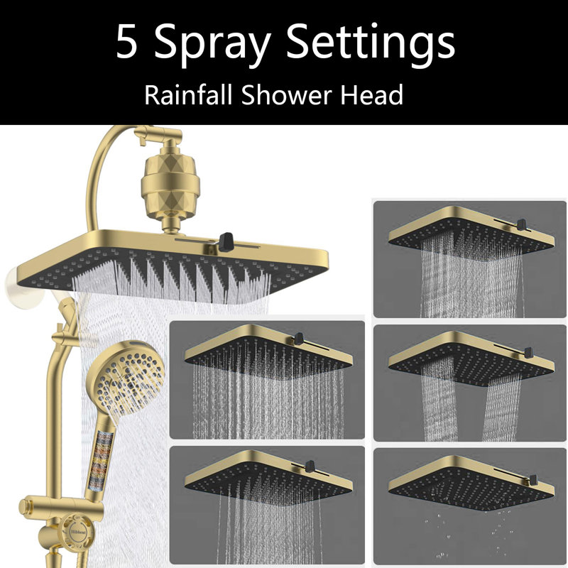 Pommeau de douche à effet pluie à double filtration avec douchette à 10 jets, Or brossé