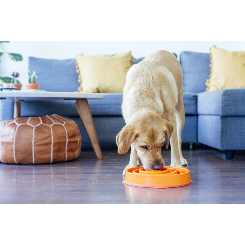 Outward Hound Fun Feeder Bowl, Slow Feeder Dog Bowl, Large, Orange