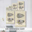 Coquilles bivalves IV - Cavas enveloppés de galerie