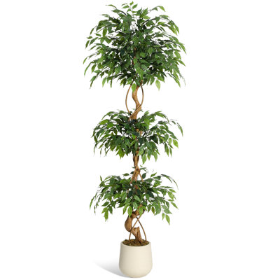 Lifelike Artificial Ficus Tree Realistic Faux Silk Plant with Curved Trunk Modern White Pot Tall Maintenance-Free Decorative Greenery for Home Office or Living Room 6ft