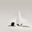 Snowdrift Evergreen-1092558814