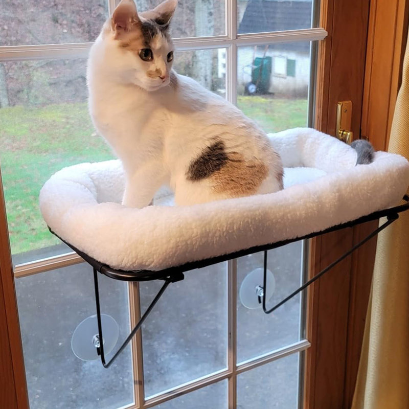 Ellorie Velvet Elevated Pet Bed