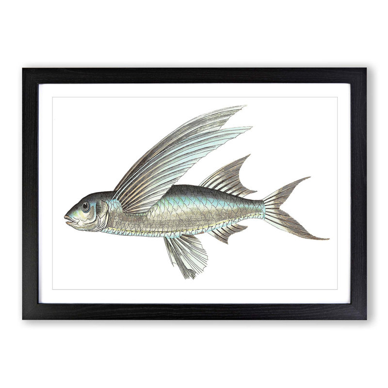 Flying Fish by George Shaw - Picture Frame Painting Print, 27cm H x 36cm W x 2cm D, Black Framed