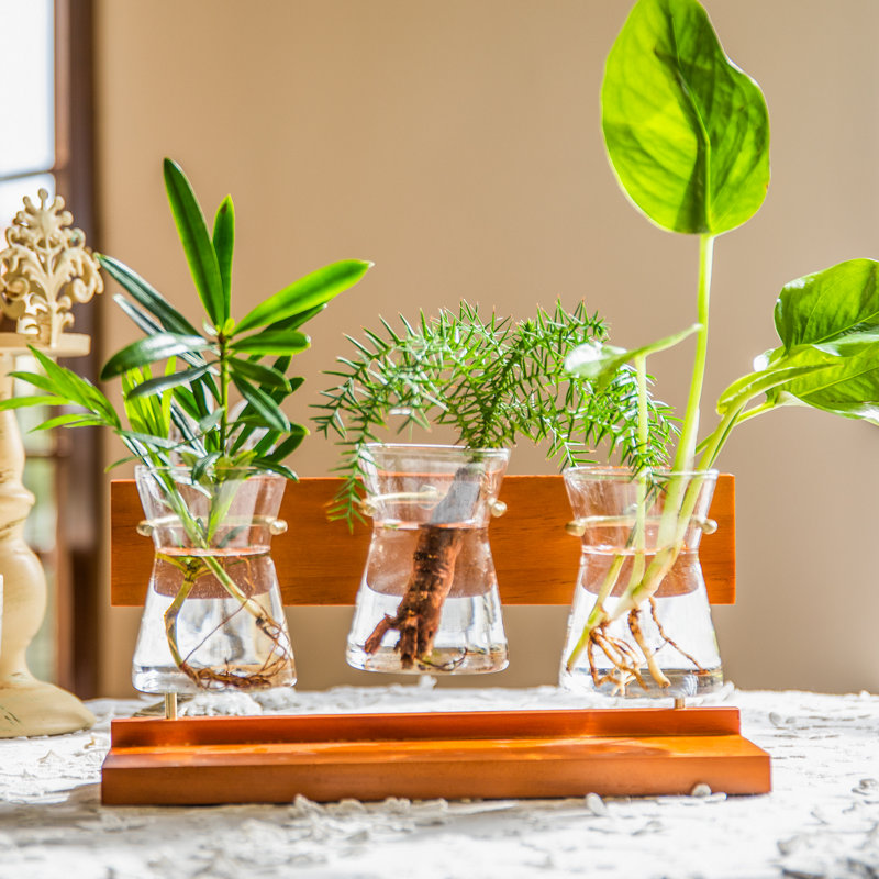 Leblond Wood Terrarium