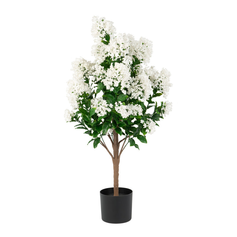 Out-MYRPL-36-1Pk, White