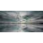 " Birds Skylight " by Parvez Taj-1760413150