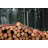 Pile Of Larch Logs by Pojbic - No Frame Art Prints on Canvas-1664153127