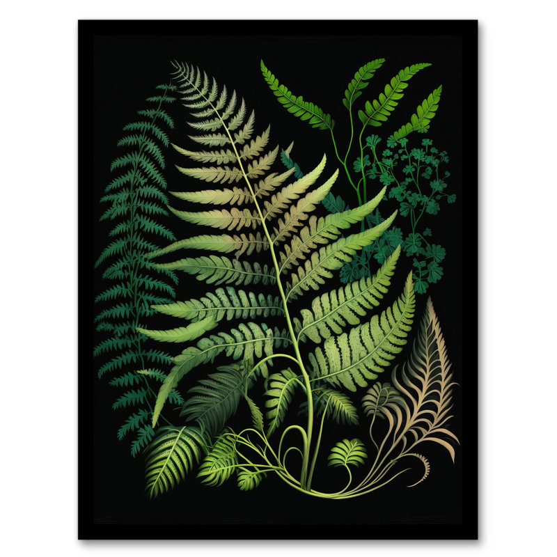 Elegant Fern Fronds Botanical Foliage Artwork Green Black - Single Picture Frame Print