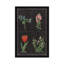 «Botanical Chart III», impression sur toile tendue-1334879856-1253871173-1253871170