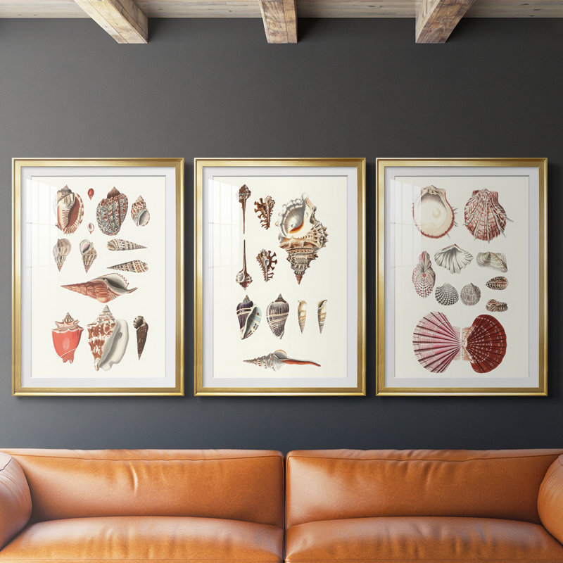 Shell Collection IV - reproduction sur mesure encadrée de qualité supérieure - 3 pièces, H 27 po x l 39 po, Doré