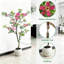 152cm Plant