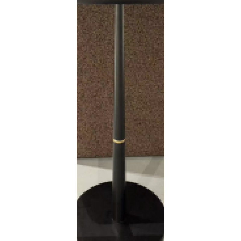 Élégante table basse carrée avec une élégante finition noire et des accents dorés