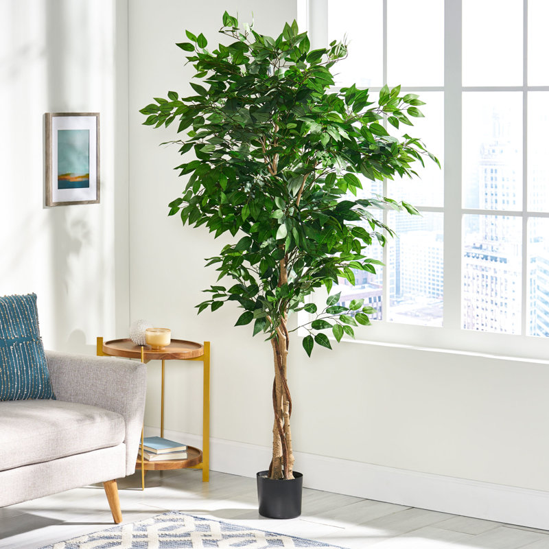 Arbre artificiel 180 cm, feuillage brillant, tronc torsadé, pré-empoté, l 30,83 po x P 71 po, amélioration de l'espace intérieur, feuilles abondantes, décoration intérieure