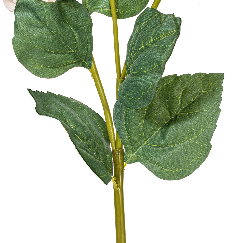 Ranbir Hydrangea Stems, Yellow