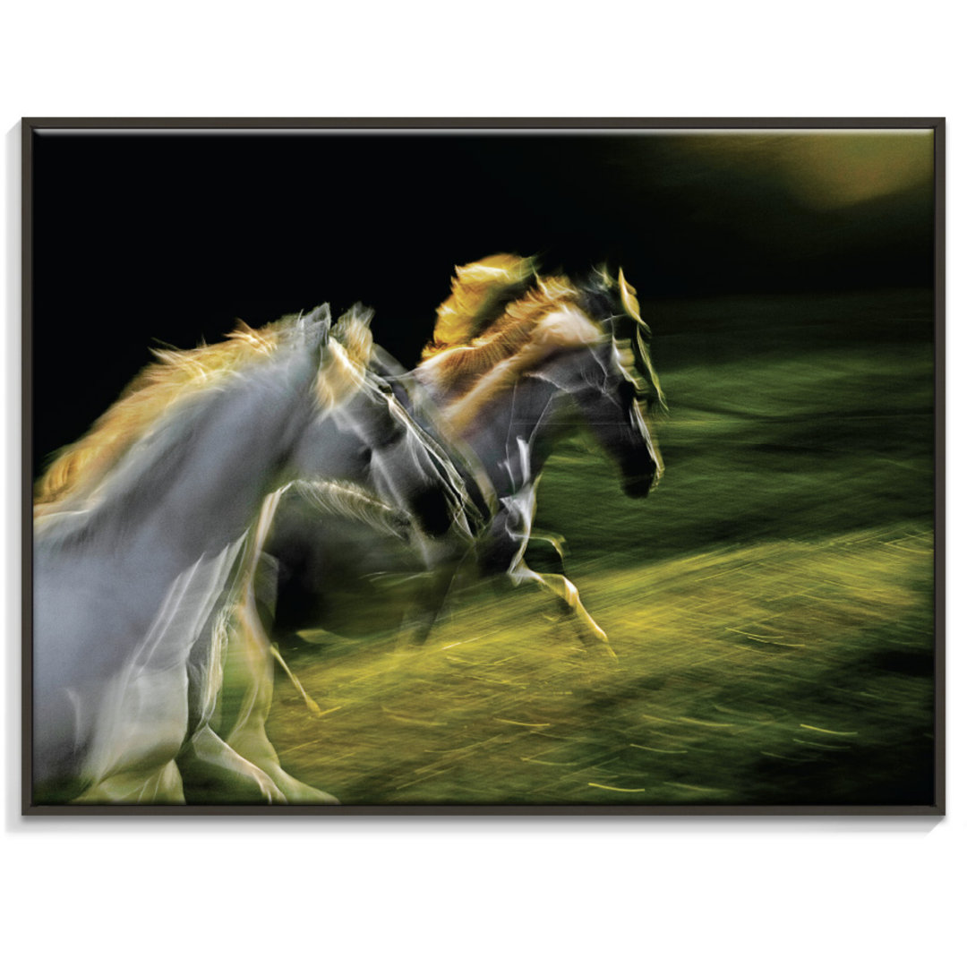 White Goddesses - Single Picture Frame Print on Canvas
