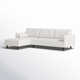 Curt 2 - Piece Upholstered Chaise L-Sectional